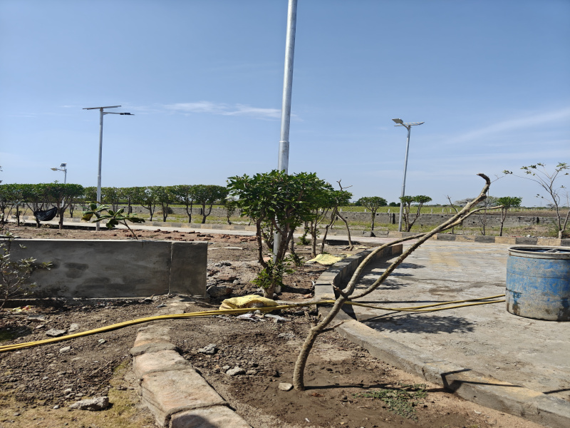  1800 Sq.ft. Residential Plot for Sale in Dholera, Ahmedabad
