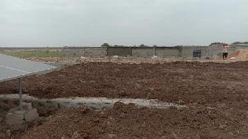  Agricultural Land for Sale in Dholera, Ahmedabad