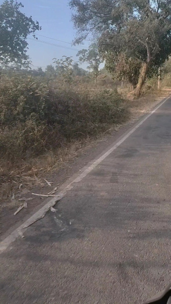 Kittur, Belagavi photo 3