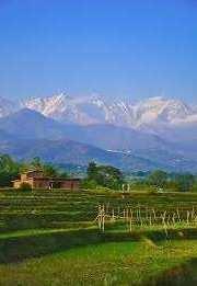  Residential Plot for Sale in Banuri, Palampur