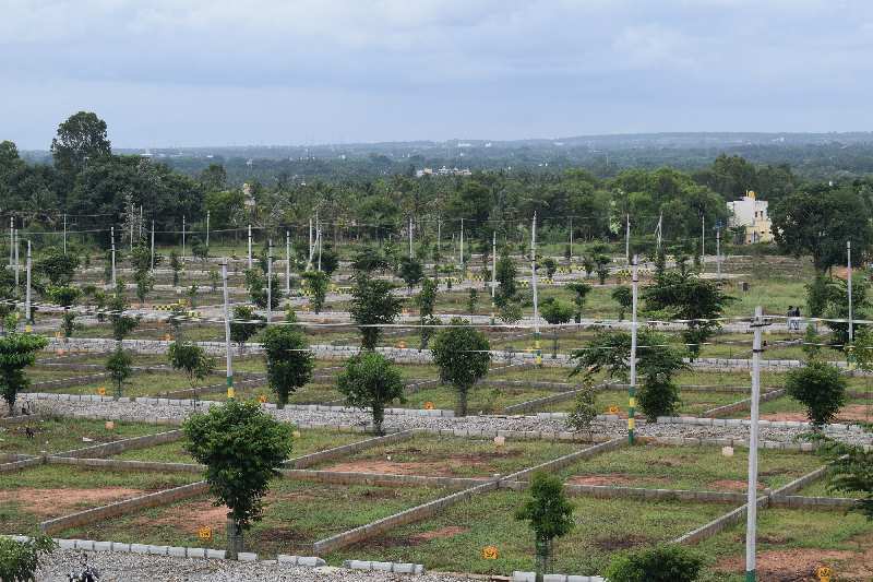  Residential Plot 1200 Sq.ft. for Sale in Bilijaji, Bangalore