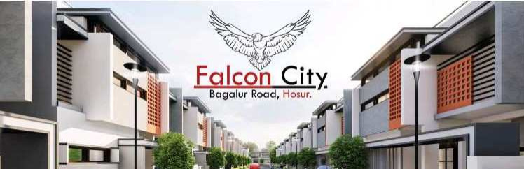 Falcon City