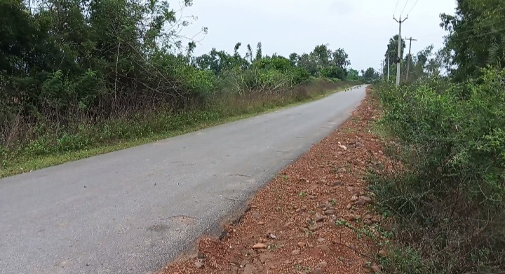  Agricultural Land 22 Acre for Sale in Periapalayam, Thiruvallur