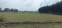  Agricultural Land for Sale in Thirumazhisai, Thiruvallur