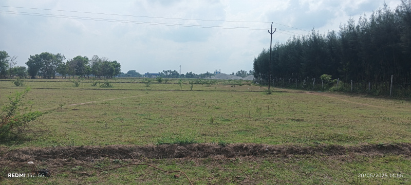  Agricultural Land 5 Acre for Sale in Thirumazhisai, Thiruvallur