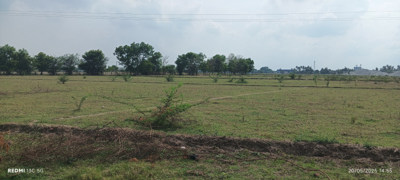  Agricultural Land 5 Acre for Sale in Thirumazhisai, Thiruvallur