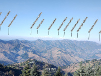  Residential Plot for Sale in Lamgara, Almora