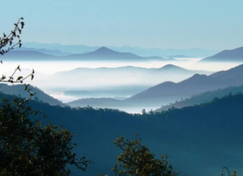  Residential Plot for Sale in Mukteshwar, Nainital