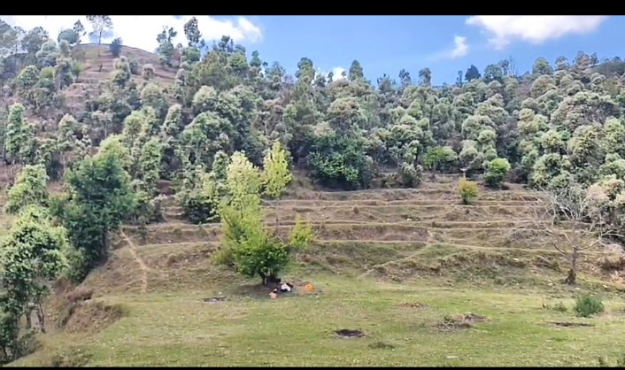 Mall Road, Almora photo 2