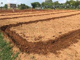 Agricultural Land for Rent in Mulbagal, Kolar