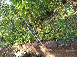  Agricultural Land for Sale in Chaul, Alibag, Raigad
