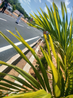  Residential Plot for Sale in Panjapur, Tiruchirappalli