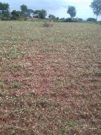  Agricultural Land for Sale in Bogadhi, Mysore
