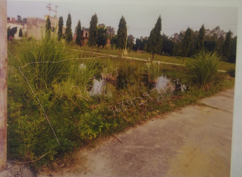  Residential Plot 203 Sq. Yards for Sale in Najibabad, Bijnor