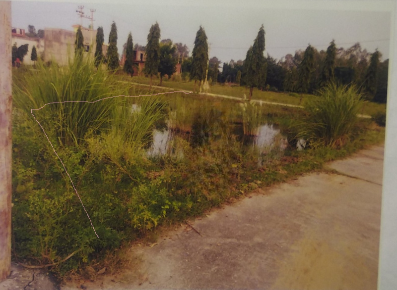  Residential Plot 203 Sq. Yards for Sale in Najibabad, Bijnor