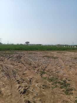  Agricultural Land for Sale in Nalhar, Nuh