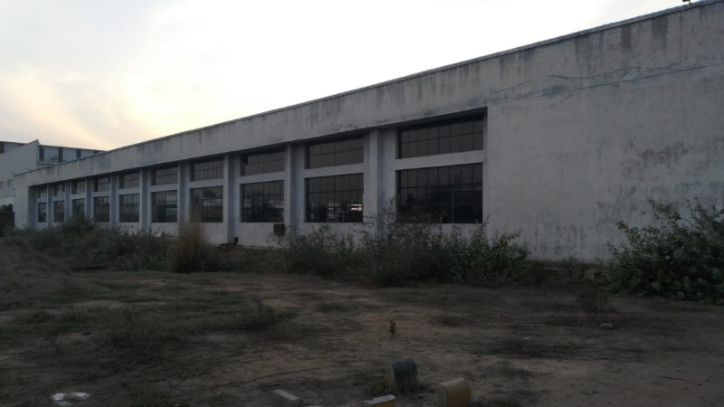  Warehouse 80000 Sq.ft. for Rent in Dadri, Gautam Buddha Nagar