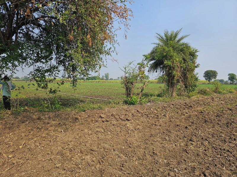  Residential Plot 2000 Sq.ft. for Sale in Sanjay Gandhi Transport Nagar, Delhi