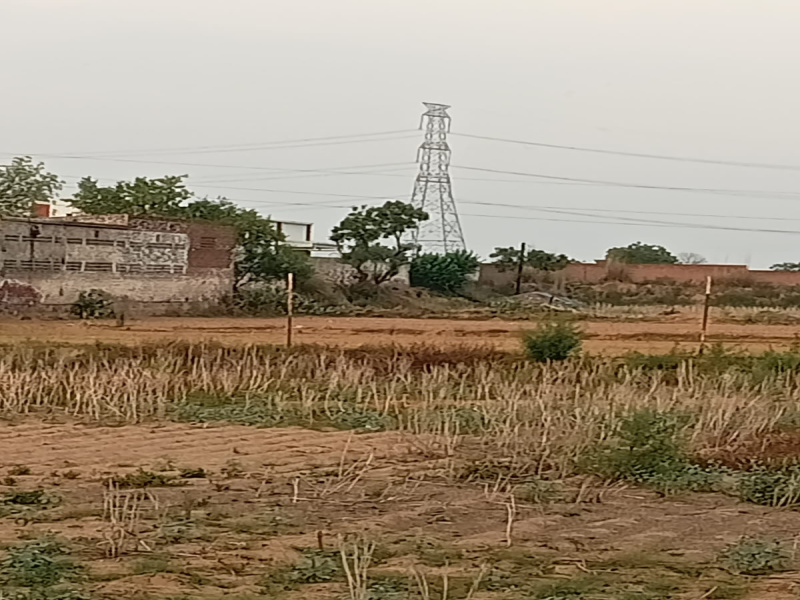  Agricultural Land 1 Acre for Sale in Jatusana, Rewari