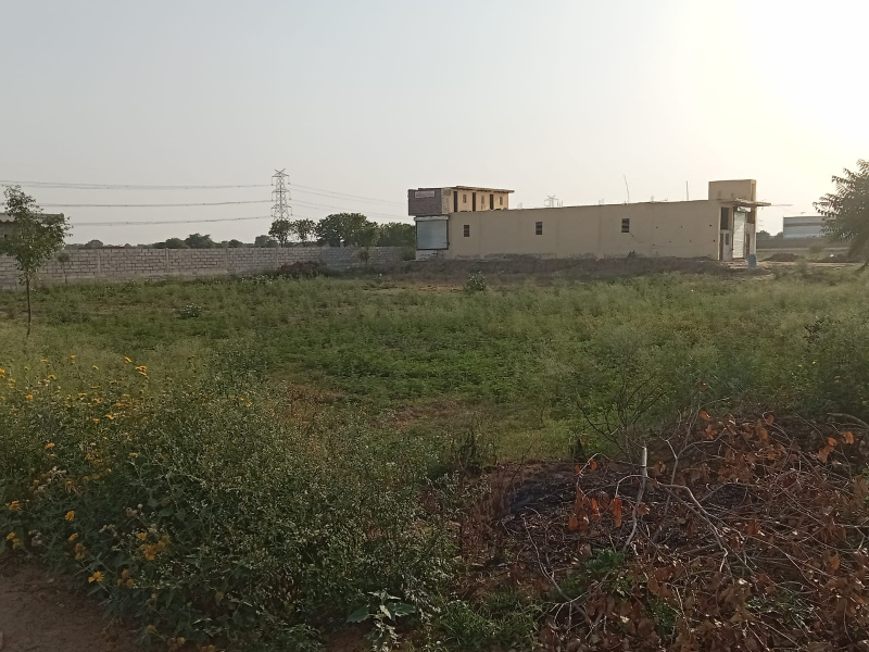  Agricultural Land 4 Acre for Sale in Bawal, Rewari