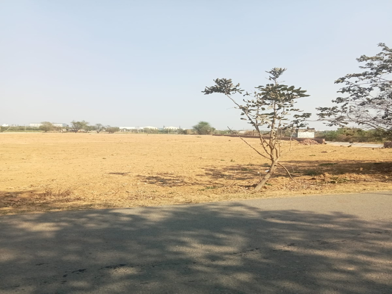  Agricultural Land 2 Acre for Sale in Bilaspur, Gurgaon