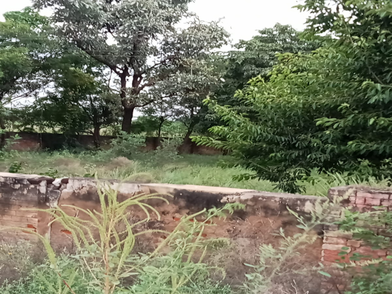  Agricultural Land 2 Acre for Sale in NH 8, Dharuhera
