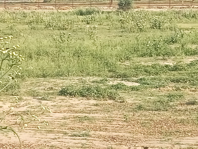  Agricultural Land 22 Acre for Sale in Sohna, Gurgaon