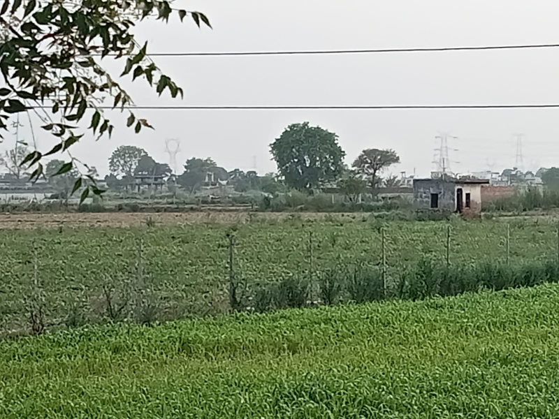  Agricultural Land 22 Acre for Sale in Sohna, Gurgaon