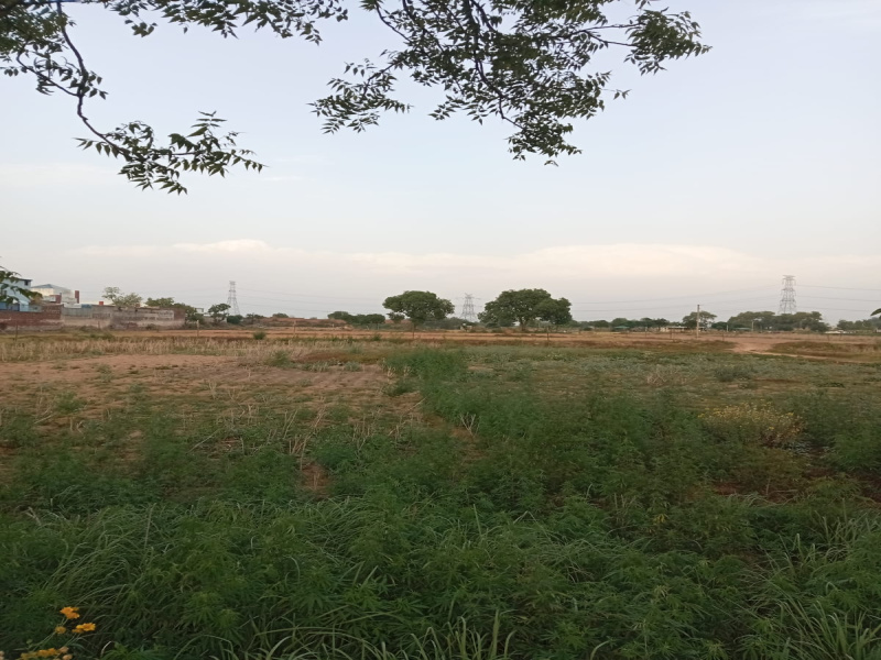  Agricultural Land 12 Acre for Sale in Kharkhoda, Sonipat