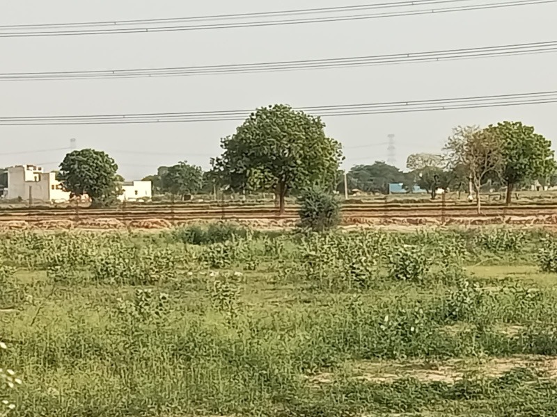  Agricultural Land 4 Acre for Sale in Kharkhoda, Sonipat