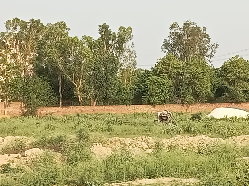  Agricultural Land 4 Acre for Sale in Kharkhoda, Sonipat