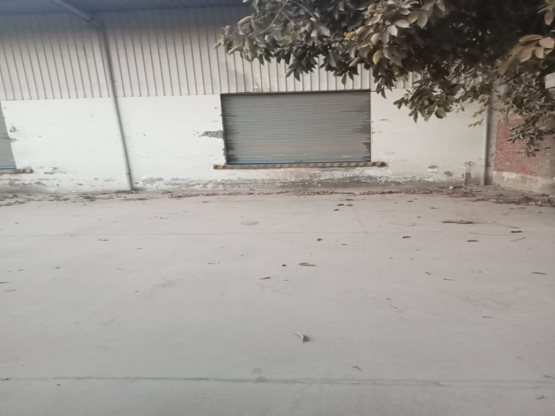  Warehouse 40000 Sq.ft. for Rent in Manesar, Gurgaon