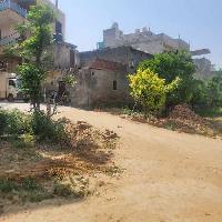  Residential Plot for Sale in Surya Kunj, Najafgarh, Delhi