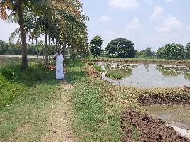  Agricultural Land for Sale in Kumbakonam, Thanjavur