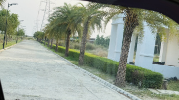  Residential Plot for Sale in New Jail Road, Lucknow