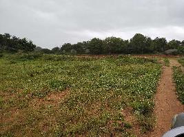  Agricultural Land for Sale in Hosa Road, Bangalore