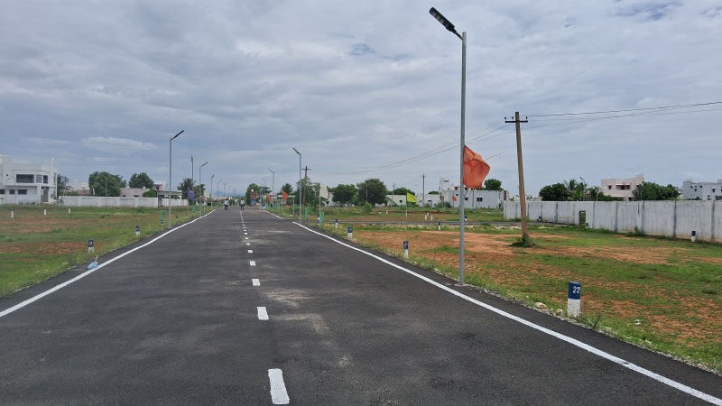  Residential Plot 1200 Sq.ft. for Sale in Chettinayakampatti, Dindigul