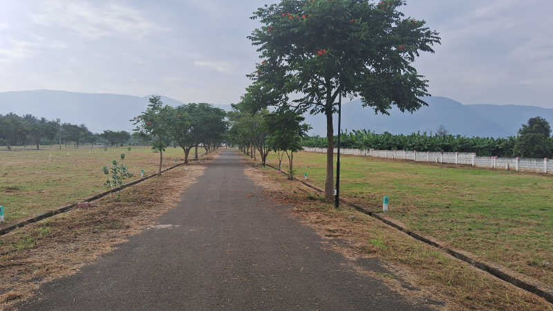  Residential Plot 1200 Sq.ft. for Sale in Cumbum, Theni