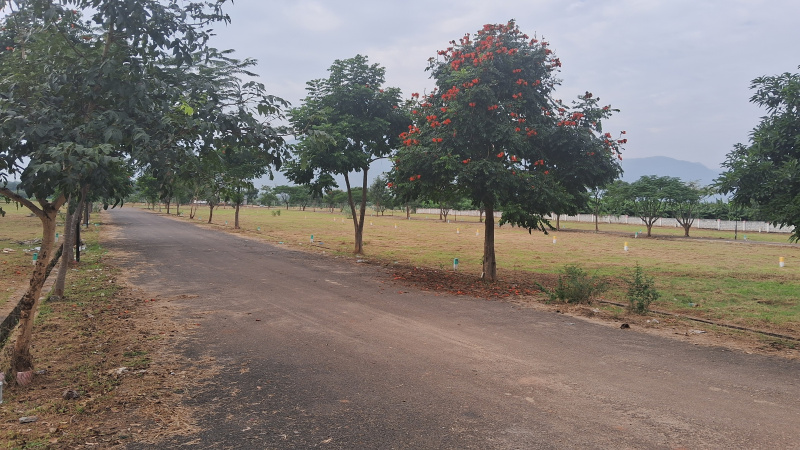  Residential Plot 1200 Sq.ft. for Sale in Cumbum, Theni