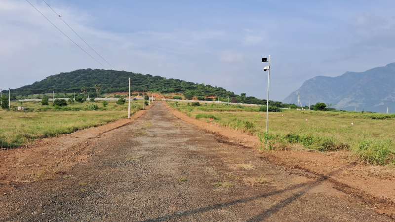  Residential Plot 2178 Sq.ft. for Sale in Ammainaickanur, Dindigul