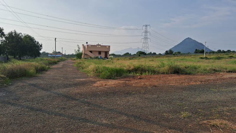  Residential Plot 2178 Sq.ft. for Sale in Ammainaickanur, Dindigul