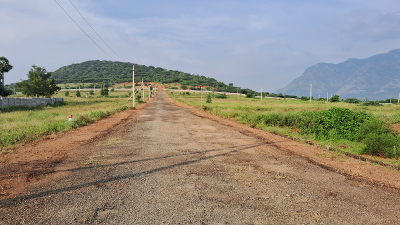  Agricultural Land 9167 Sq.ft. for Sale in Ammainaickanur, Dindigul