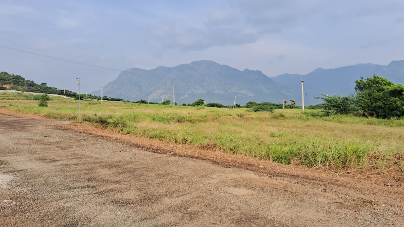  Residential Plot 2178 Sq.ft. for Sale in Nilakkottai, Dindigul