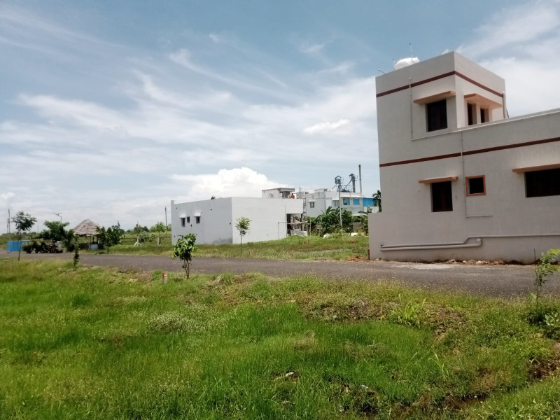  Residential Plot 1200 Sq.ft. for Sale in Karuppayurani, Madurai