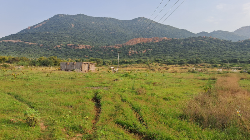  Agricultural Land 18 Acre for Sale in Andipatti Jakkampatti, Theni