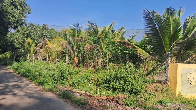  Agricultural Land 2 Acre for Sale in Periyakulam, Theni