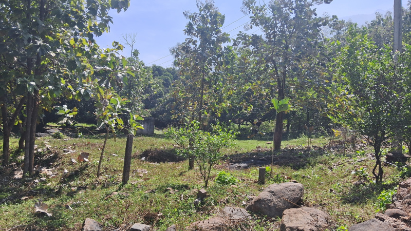  Agricultural Land 2 Acre for Sale in Periyakulam, Theni