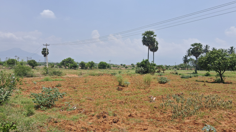  Agricultural Land 9 Acre for Sale in Vadugapatti, Theni
