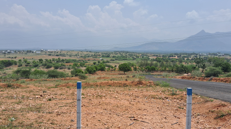  Agricultural Land 26 Acre for Sale in Vadugapatti, Theni