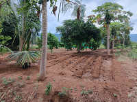  Agricultural Land for Sale in Gudalur, Theni